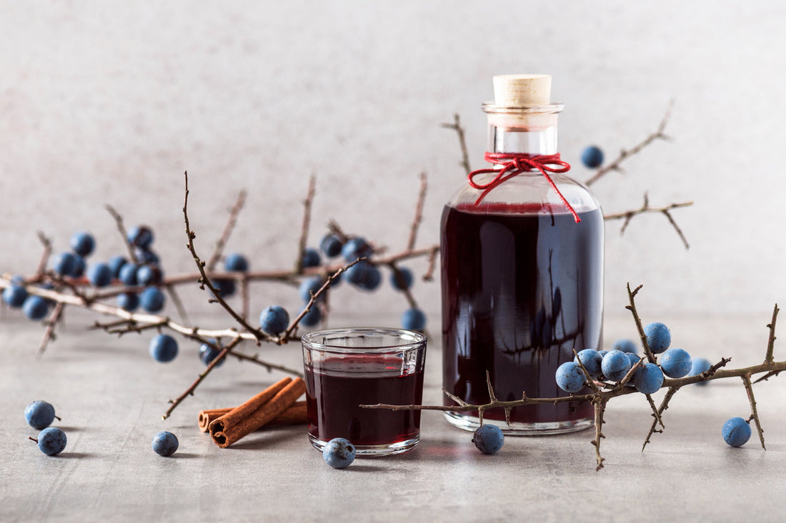 What is Sloe Gin?