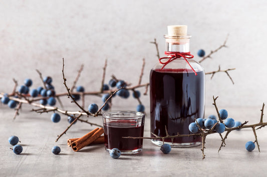 What is Sloe Gin?